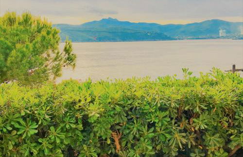 Villette dello Scrittore by SolturElba - Foto 57