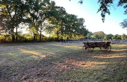 Erholung zu Zweit - Foto 11