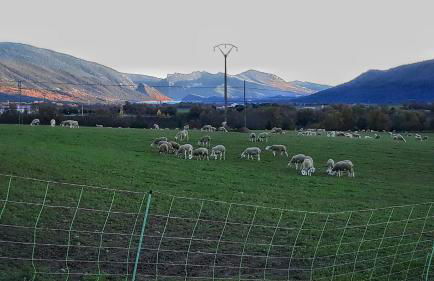 BanastónEra - Foto 25