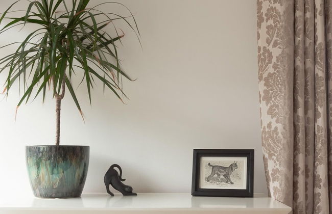 Higher Stancombe Holiday Cottages - Foto 21