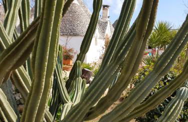 I Trulli Di Nonno Giovanni - Foto 39