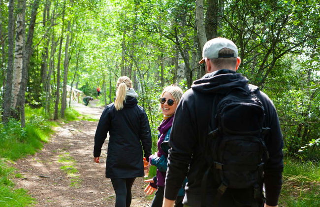 Trilha pelo Parque Nacional Liesjärvi - Foto 6