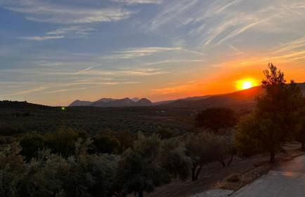 Cortijo Borreguero - Photo 45