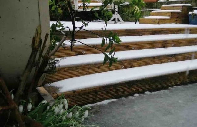 Midden Manor Country Stay on a Working Dairy Farm - Foto 21