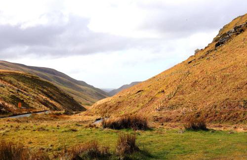 Horseshoe Cottage Aberaeron - Foto 21