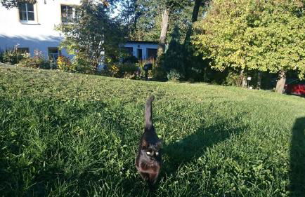 Ferienwohnung Hägelhof - Foto 29