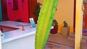 pousada malva branca - Foto 3