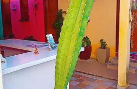 pousada malva branca - Foto 3