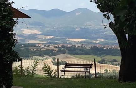 Podere Porcino - Foto 34