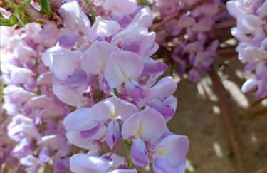 Bienvenue à PARIS - Appartement confortable, grande terrasse privée au calme, parking gratuit - Foto 21