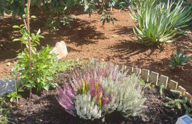 Apartments in Pirovac 34905 - Photo 12