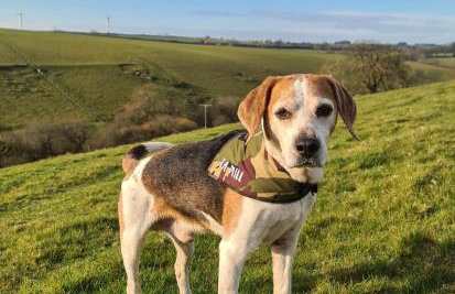 Ta Mill Cottages & Lodges - Pump Cottage - Foto 13