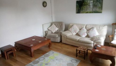 The Old Swan - Foto 2