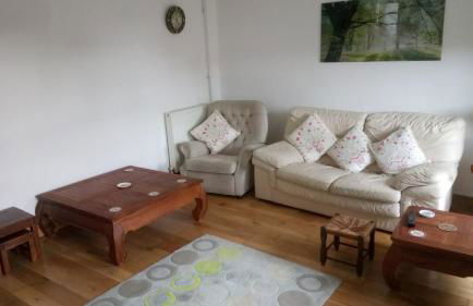 The Old Swan - Photo 2