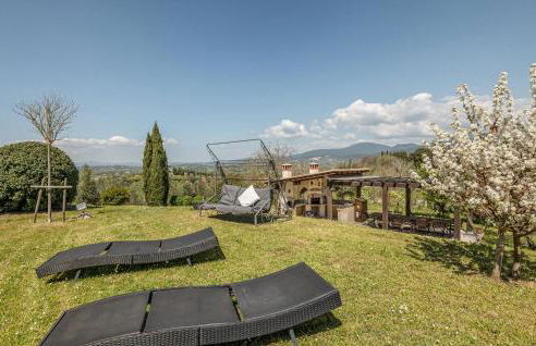 Blue Cherry - Foto 25