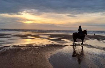 Le Ptit Vertbois - Foto 18