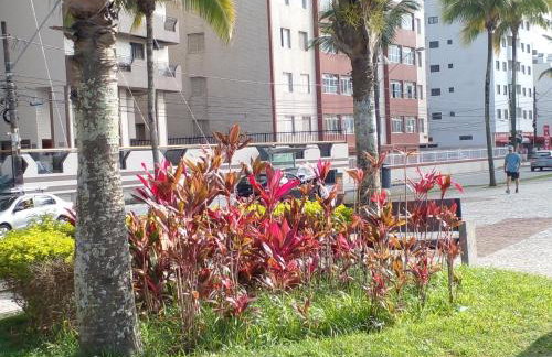 Acolhedor com suíte e wi-fi - Foto 45