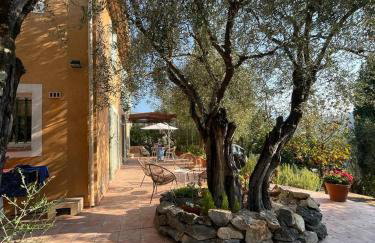 La maison aux oliviers - Foto 12