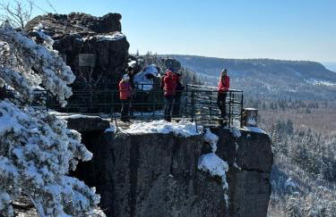 Wiśniowy Sad - Foto 72