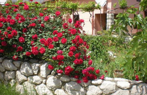 Apartmani Mediteran - Foto 1