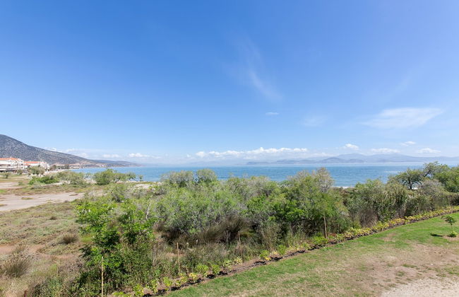 MariRena plaz - Foto 22