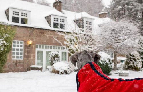 The Stables Cottage, Aboyne, Peaceful Stay in Royal Deeside - Photo 53