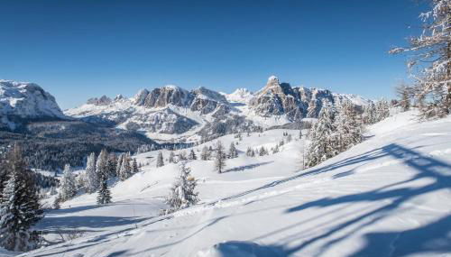 Ciasa Rosra - Foto 3