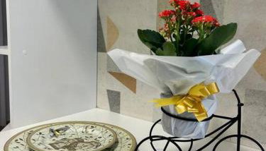 Refúgio na Serra Condomínio em Olaria, Nova Friburgo-RJ - Foto 5