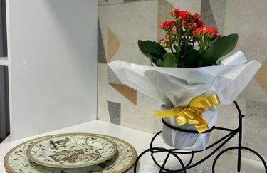 Refúgio na Serra Condomínio em Olaria, Nova Friburgo-RJ - Foto 5