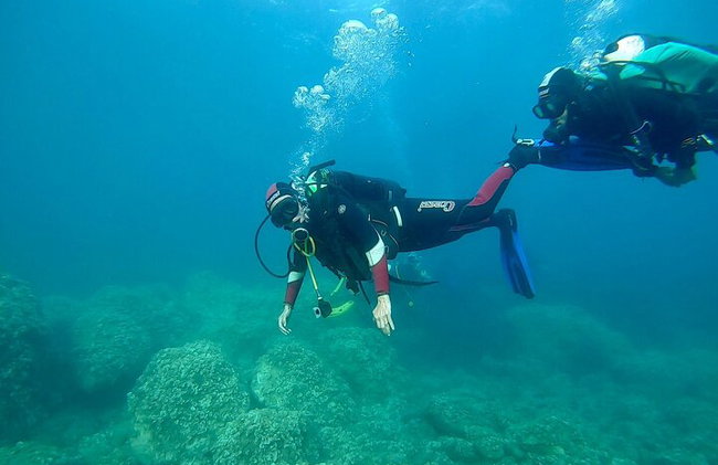 Bautismo de mar: Buceo en la isla de Elba". - Foto 4