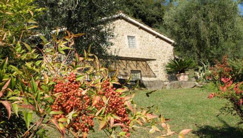 Tenuta di Campodori - Foto 5