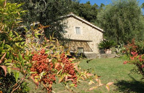Tenuta di Campodori - Foto 5