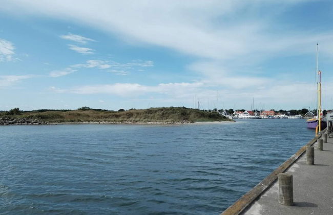 4 Person Holiday Home in Hals - Foto 30