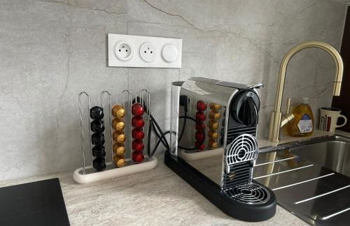 LE LYNX HAUSSMANIEN appartement tout confort, climatisé avec parking privé, à deux pas du centre - Foto 13