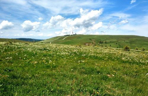 Ferienwohnung Kraftquelle im Wohnpark SchwarzwaldBlick, Bernau - Foto 24