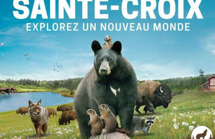 Le chalet de Rothenbuhl - Photo 20