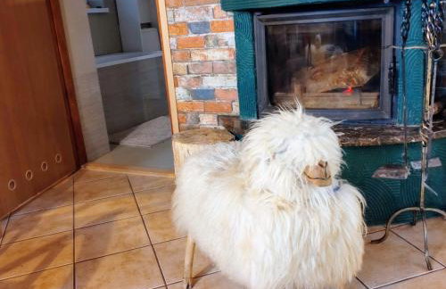 Beskidzka Ostoja - Foto 49