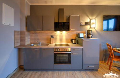 Auszeit-im-Harz Haus 5 Wohnung 34 - Foto 3