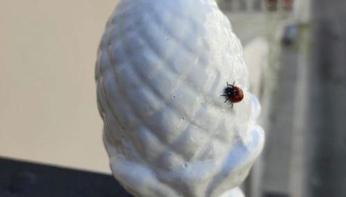 DIMORA STORICA ALLA ROTONDA - Foto 4