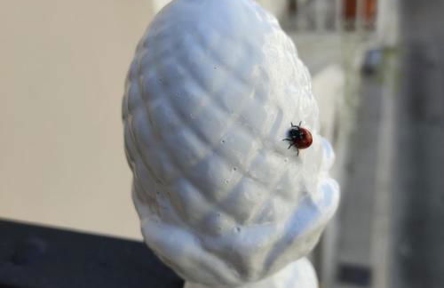 DIMORA STORICA ALLA ROTONDA - Foto 4