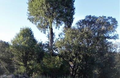 Mas de Muñoz - Foto 6