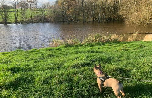 Fantastic Location, Annexe with Hot Tub - Photo 15