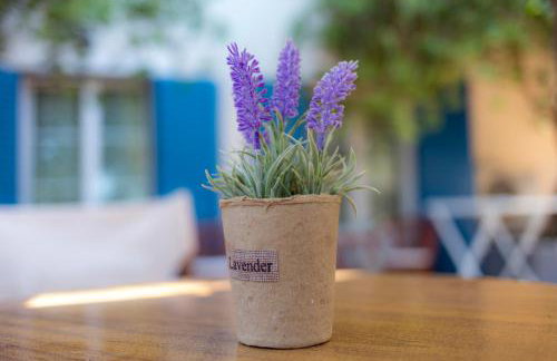 Fereniki Studios - Foto 24