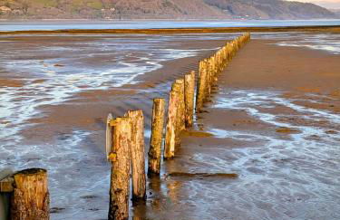 Peacehaven, Ynyslas, Borth - Photo 50