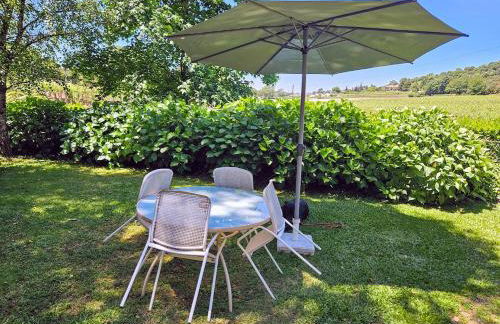 Quinta de Pindela - Natureza e Tradicao - Foto 35