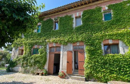 Les Pierrades en Camargue - Photo 16