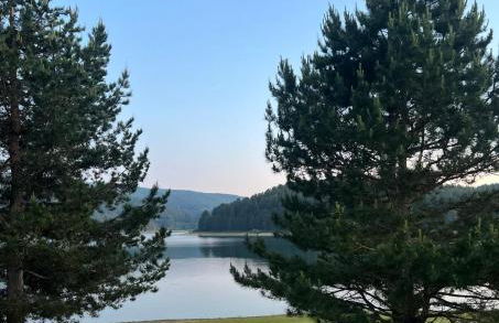 Casa dello Sciatore Lorica - Foto 49