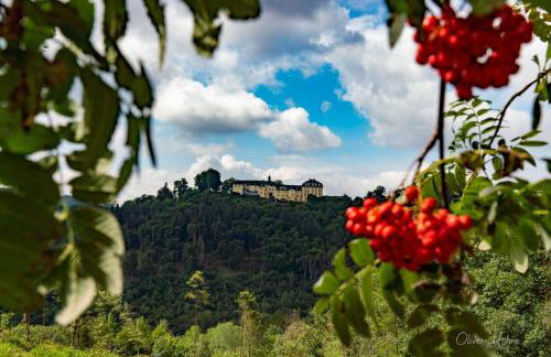 Ferienwohnung am Waldrand - Foto 25