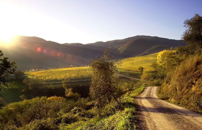 Agriturismo Colognole - Foto 32