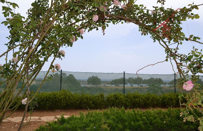 Villa Elena - Photo 37